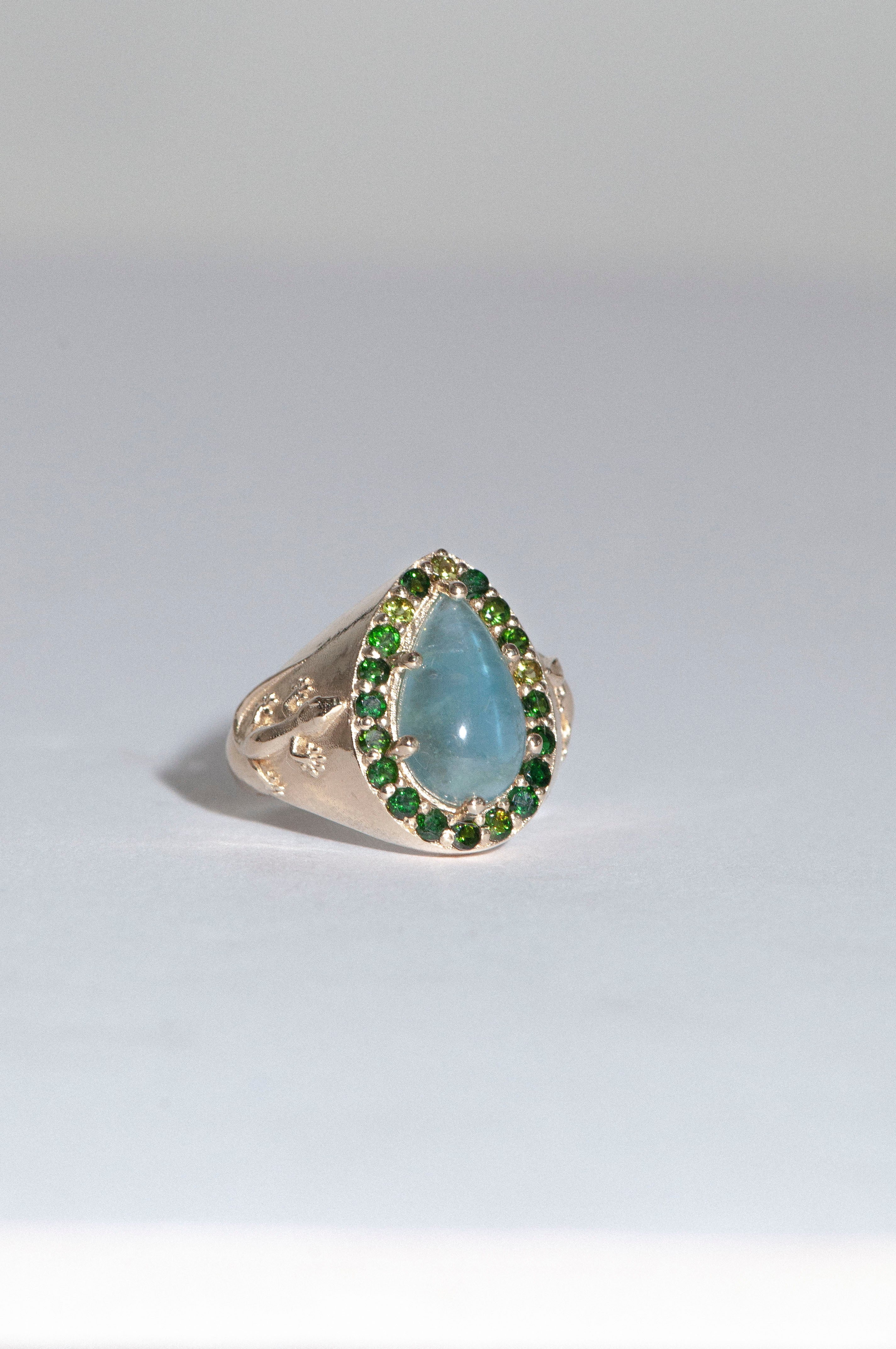 Gecko Ring, 2025