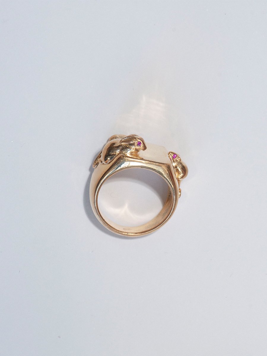 Ring for Warwick (Custom), 2024