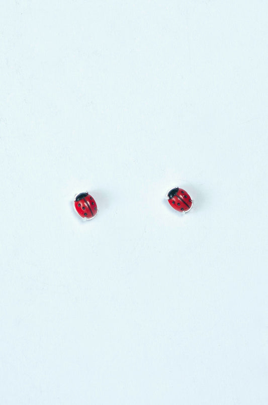 Little Cow Studs