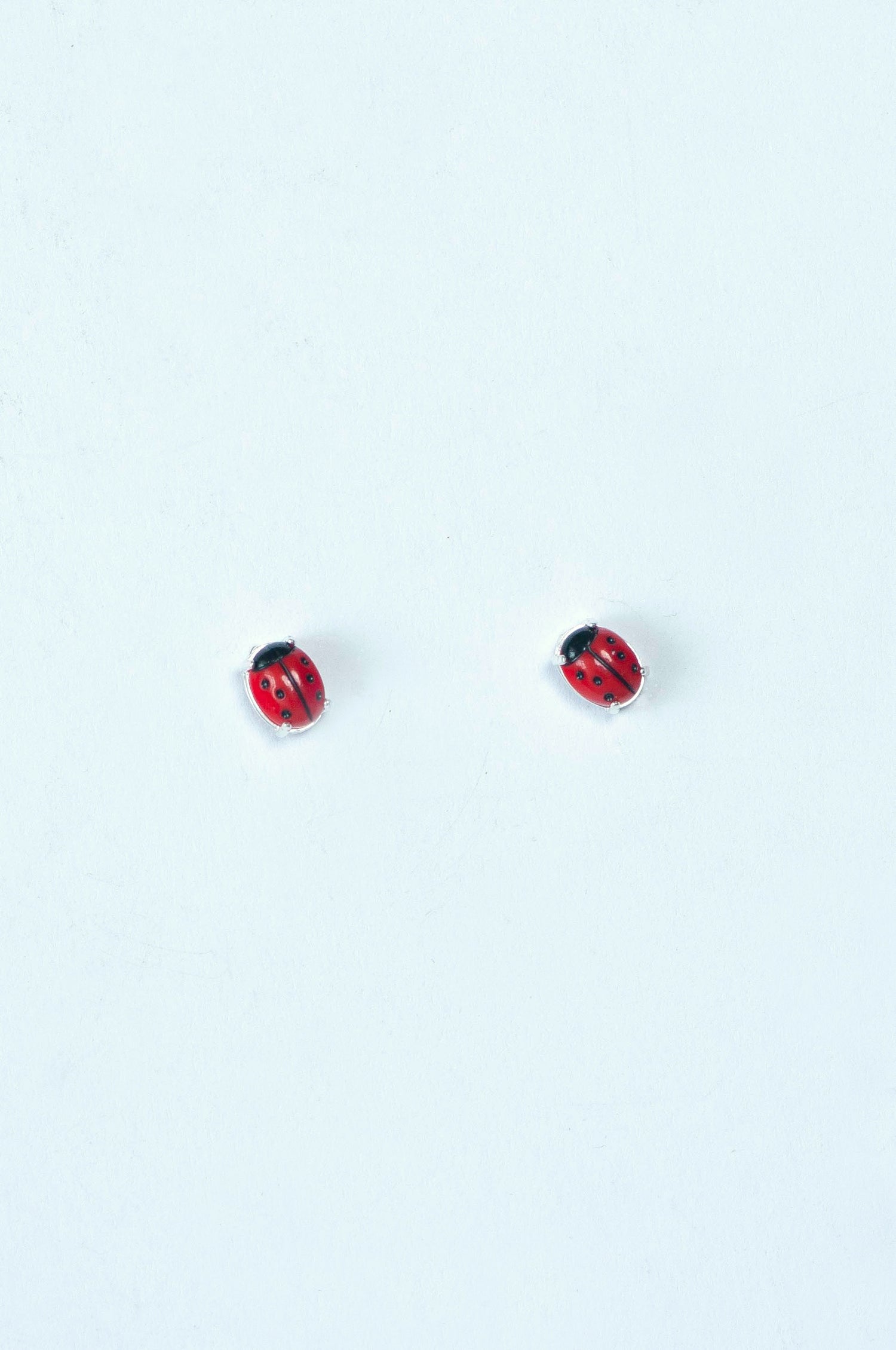 Little Cow Studs